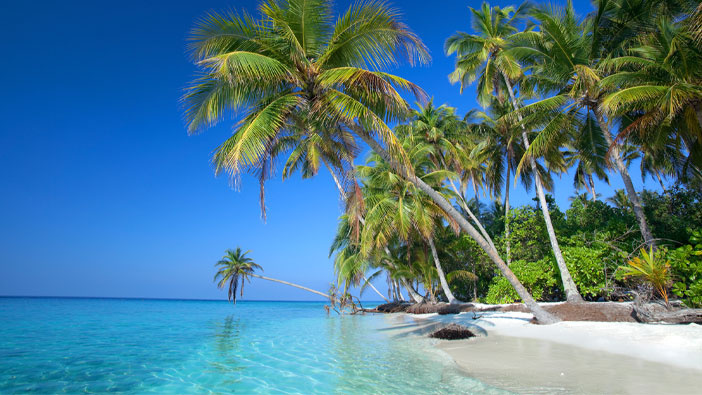 Plan your next trip