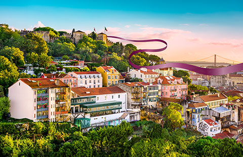 Uncover more of our new destinations
