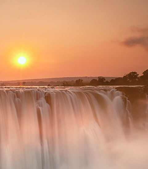 Fly to Africa image