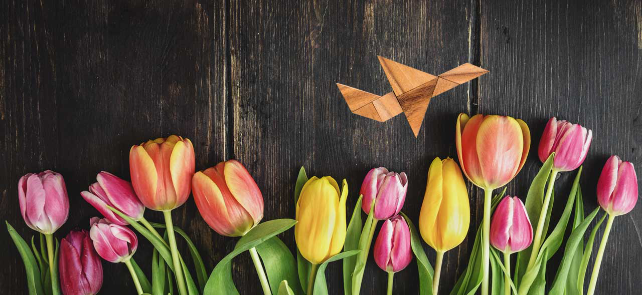Spring Sale Fare from 670,000Fare from 670,000