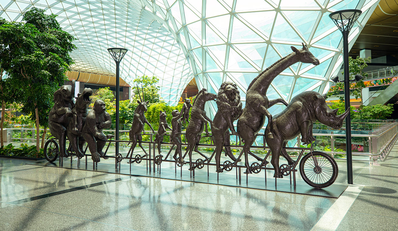 video-image
