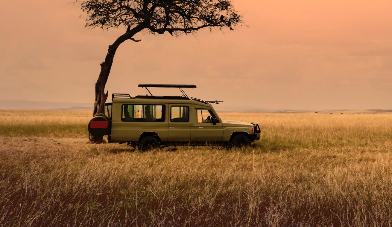 Spectacular Africa
