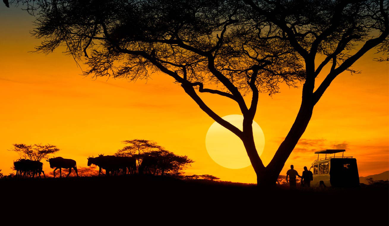 Top African destinations