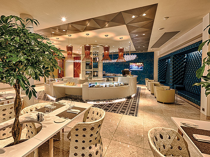 Paris Premium Lounge