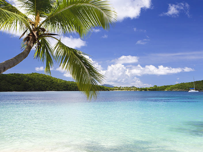 Plan your next trip
