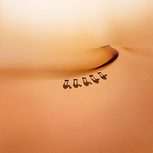 Gassim image