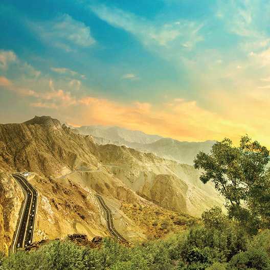 Taif image