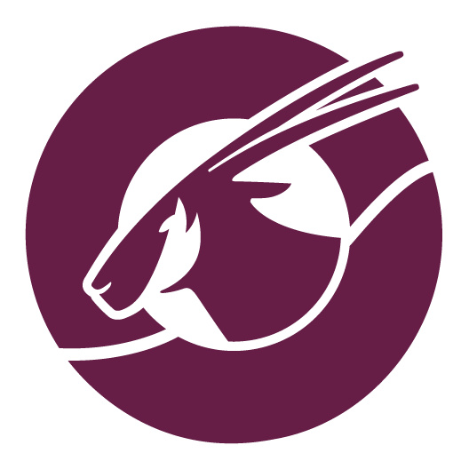Discover Qatar'a ulaşmak için buraya tıklayın