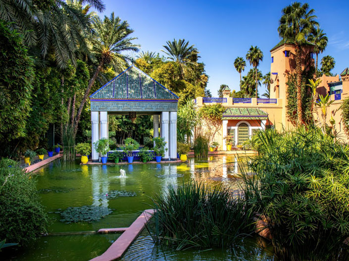 tab-image