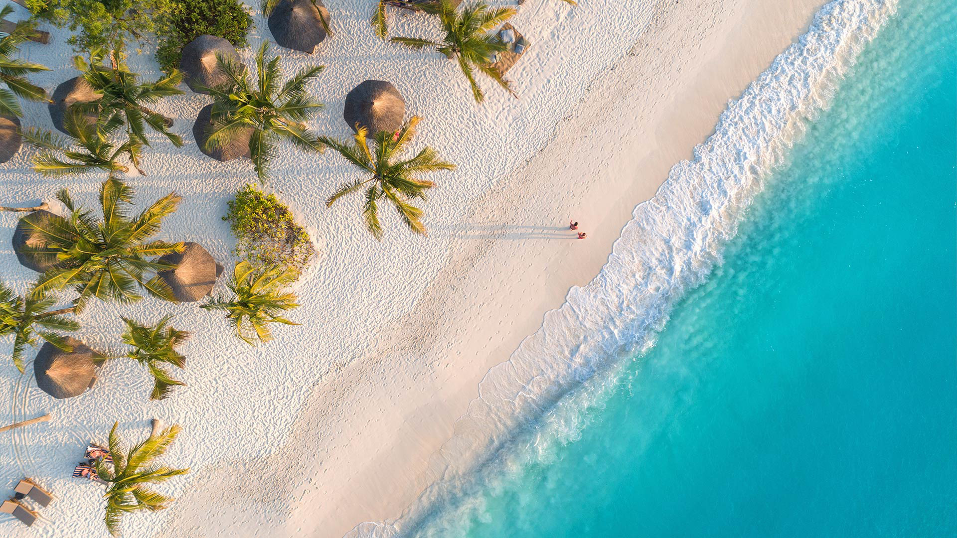 Book flights to Tanzania