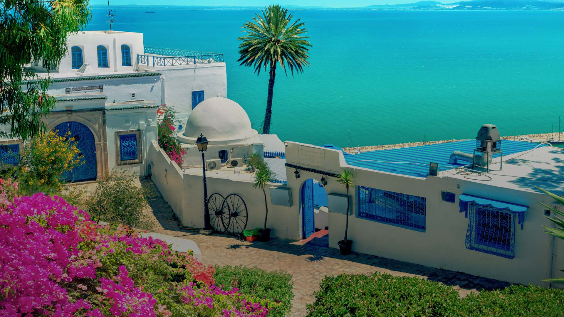 Book flights to Tunisia
