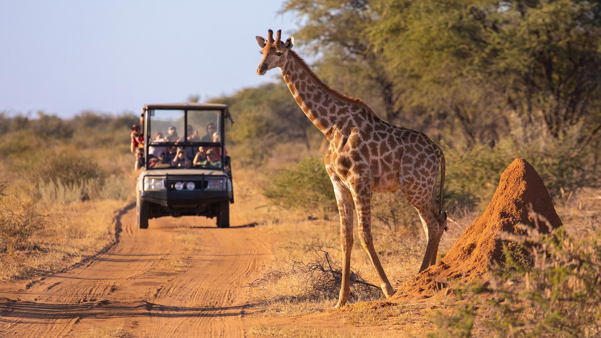 Book flights to Zambia